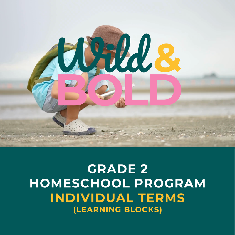 Grade 2 | Individual Terms