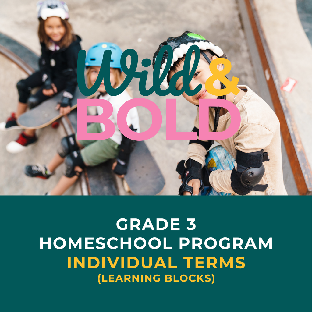 Grade 3 | Individual Terms