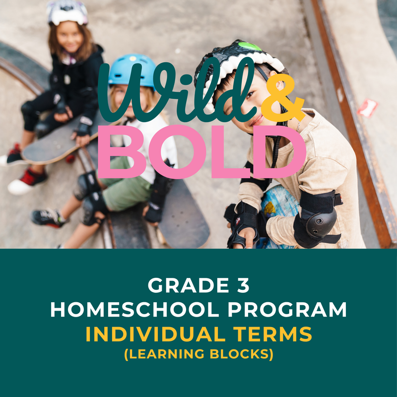 Grade 3 | Individual Terms
