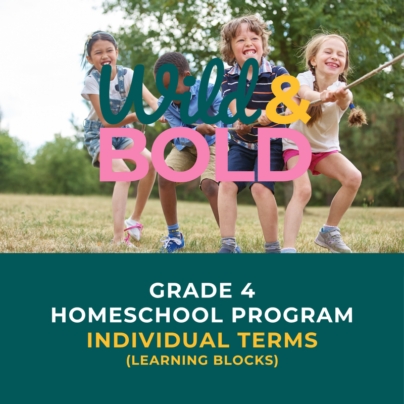 Grade 4 | Individual Terms
