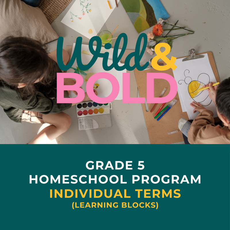 Grade 5 | Individual Terms
