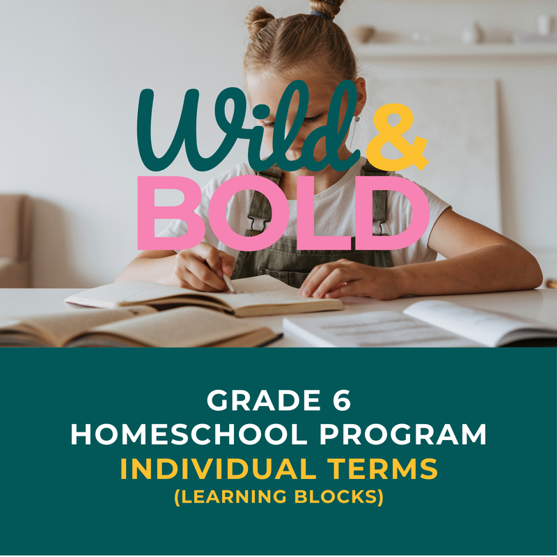Grade 6 | Individual Terms