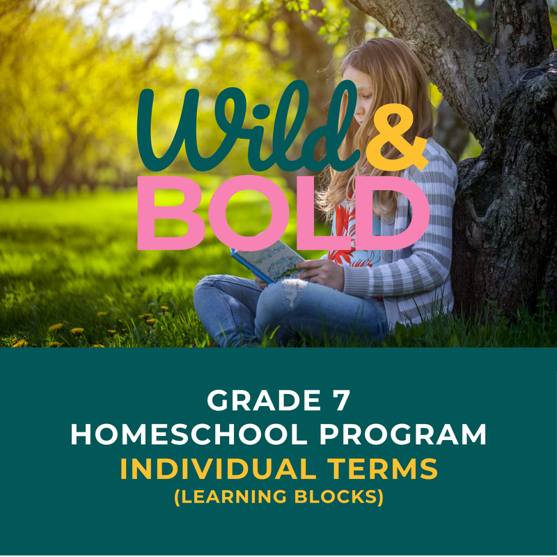 Grade 7 | Individual Terms